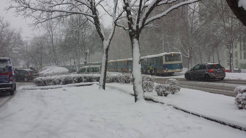 Nem volt könnyű kikerülni az álló buszokat.