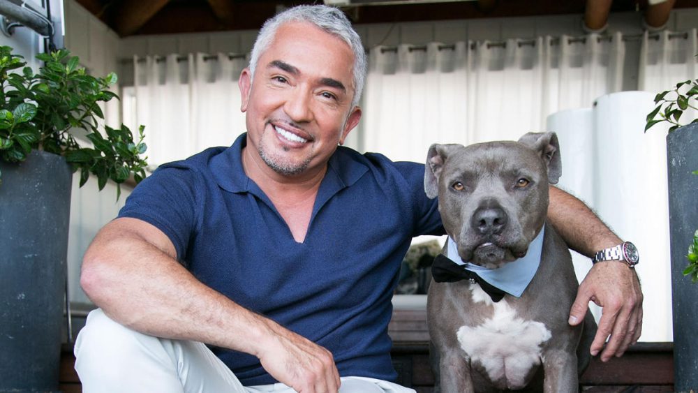 466171182-cesar-millan