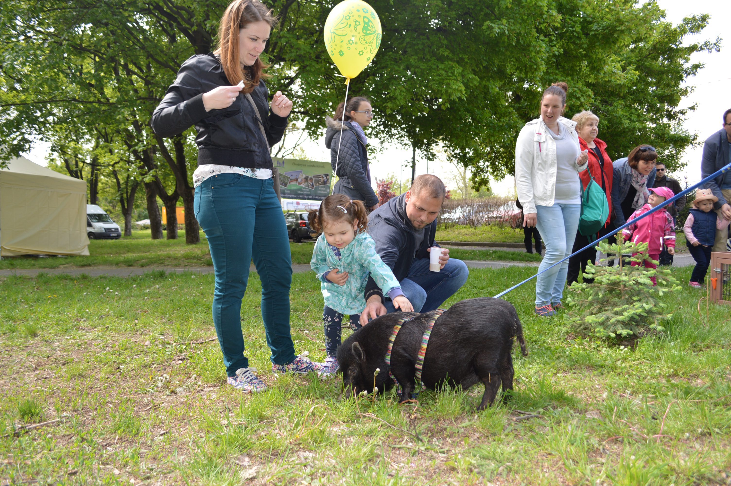 Az állatsimogatás a gyerekek kedvence 