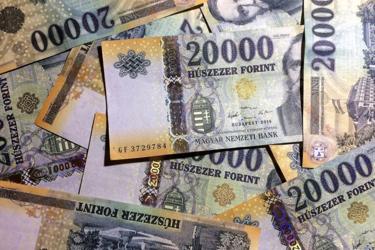 Majdnem kétszázmilliót sikkasztott a jemeni orvos Majdnem kétszázmilliót sikkasztott a jemeni orvos